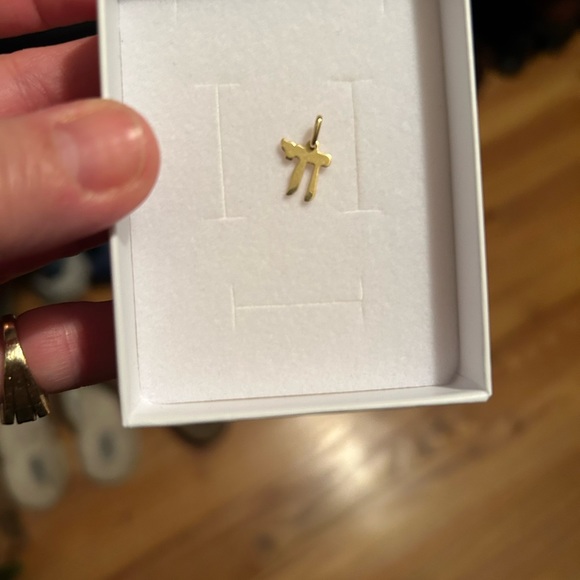 14KT Yellow Gold Jewish Chai Symbol Flat Shiny Pendant Charm "Alive" - Picture 7 of 7